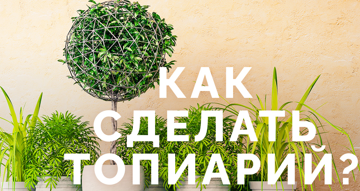 топиарий